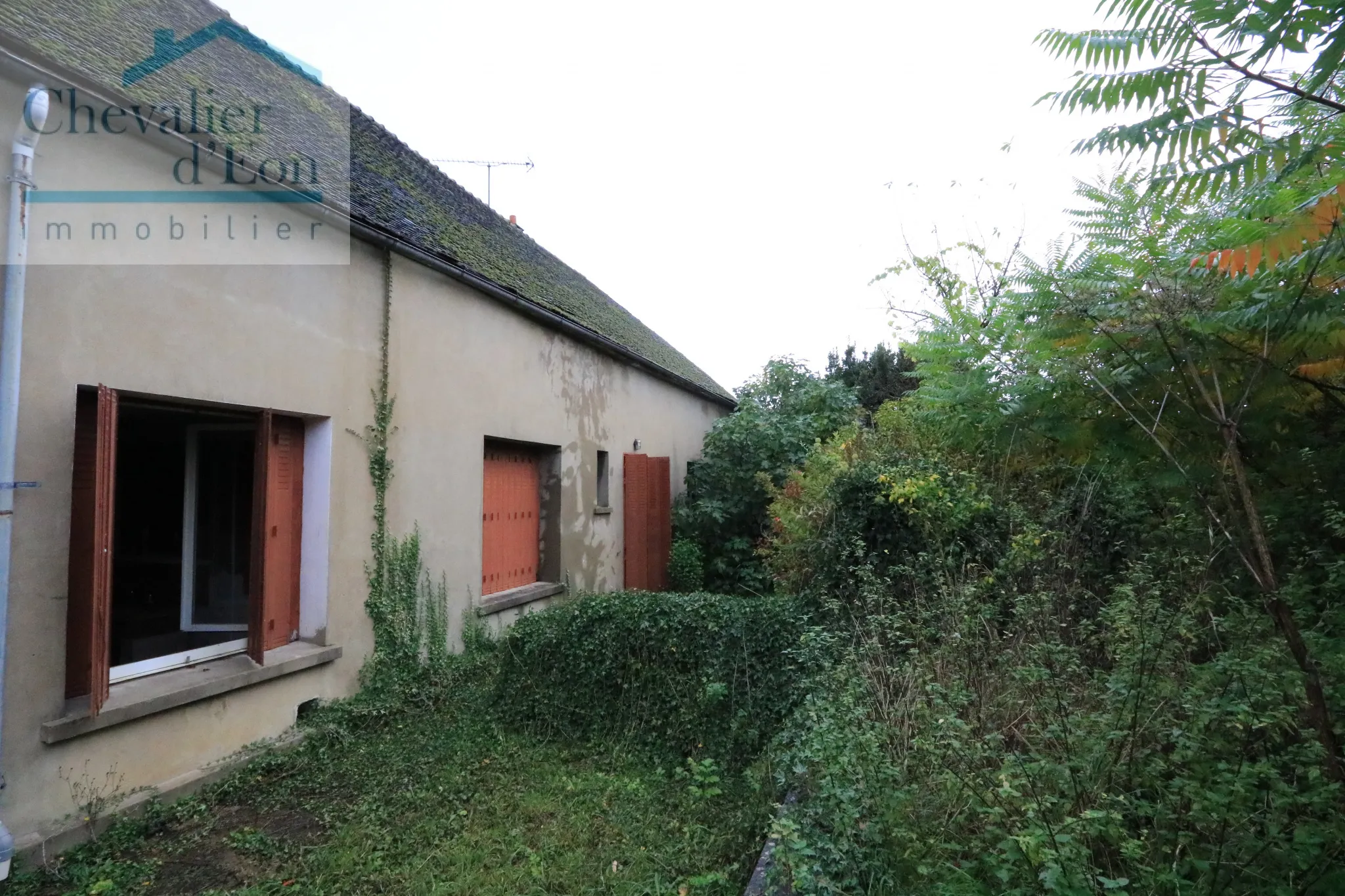 À vendre : Ensemble immobilier de 3 maisons à Bernon 