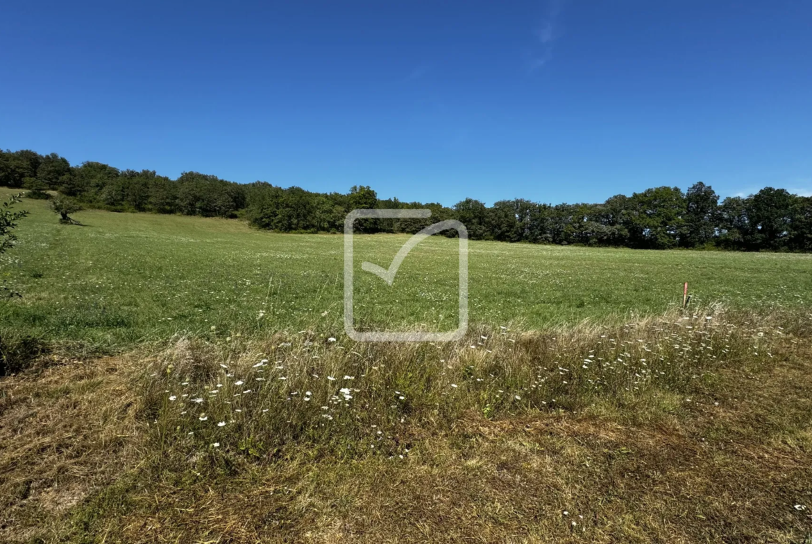 Grand Terrain à Bâtir en Campagne avec Partie Boisée à St Chamarand 