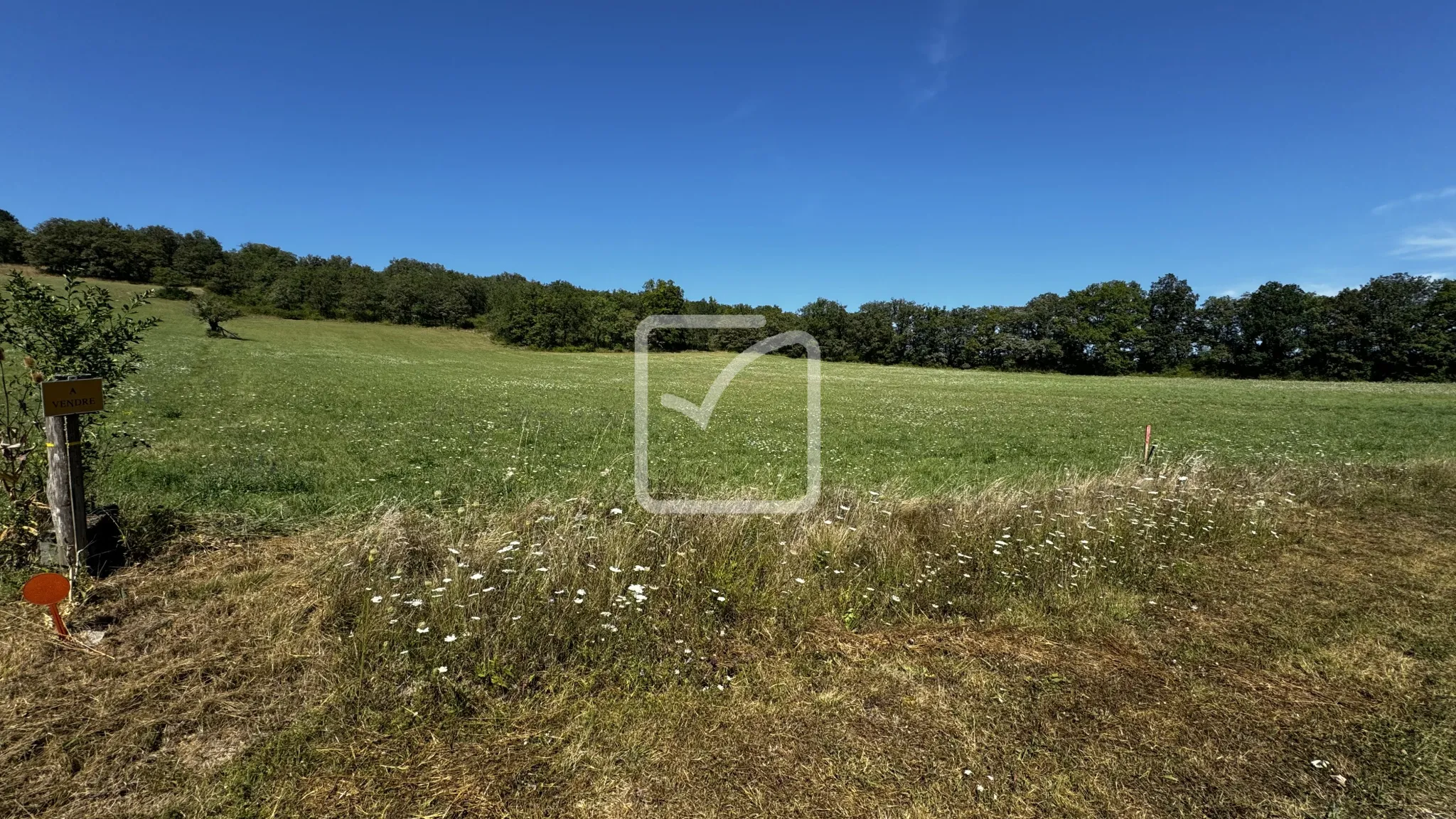 Grand Terrain à Bâtir en Campagne avec Partie Boisée à St Chamarand 