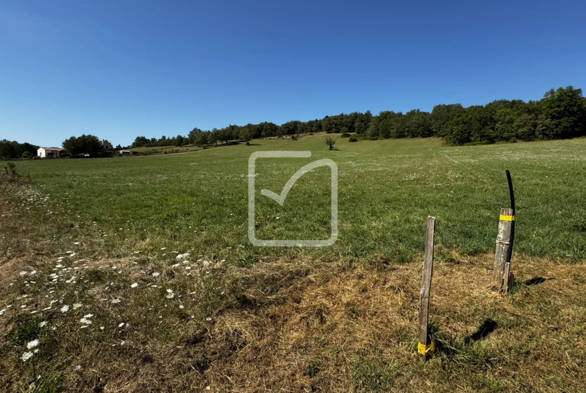 Grand Terrain à Bâtir en Campagne avec Partie Boisée à St Chamarand 