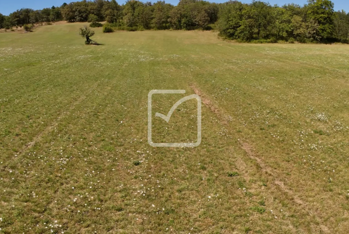 Grand Terrain à Bâtir en Campagne avec Partie Boisée à St Chamarand 