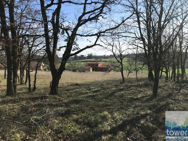 Terrain constructible de 5000 m² à La Capelle Balaguier 