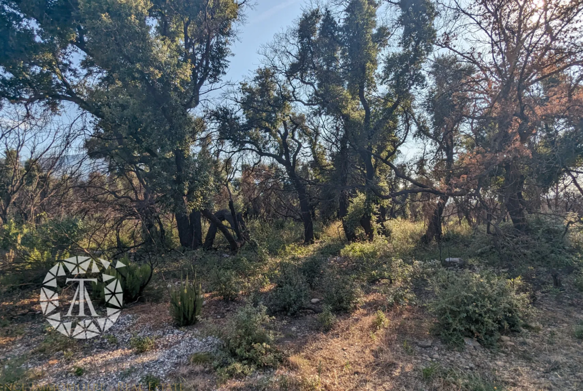 Vente de Terrains Agricoles à St André - 8 038 m² 