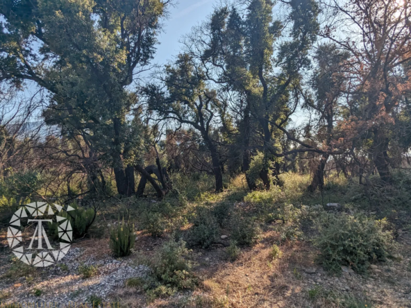 Vente de Terrains Agricoles à St André - 8 038 m²