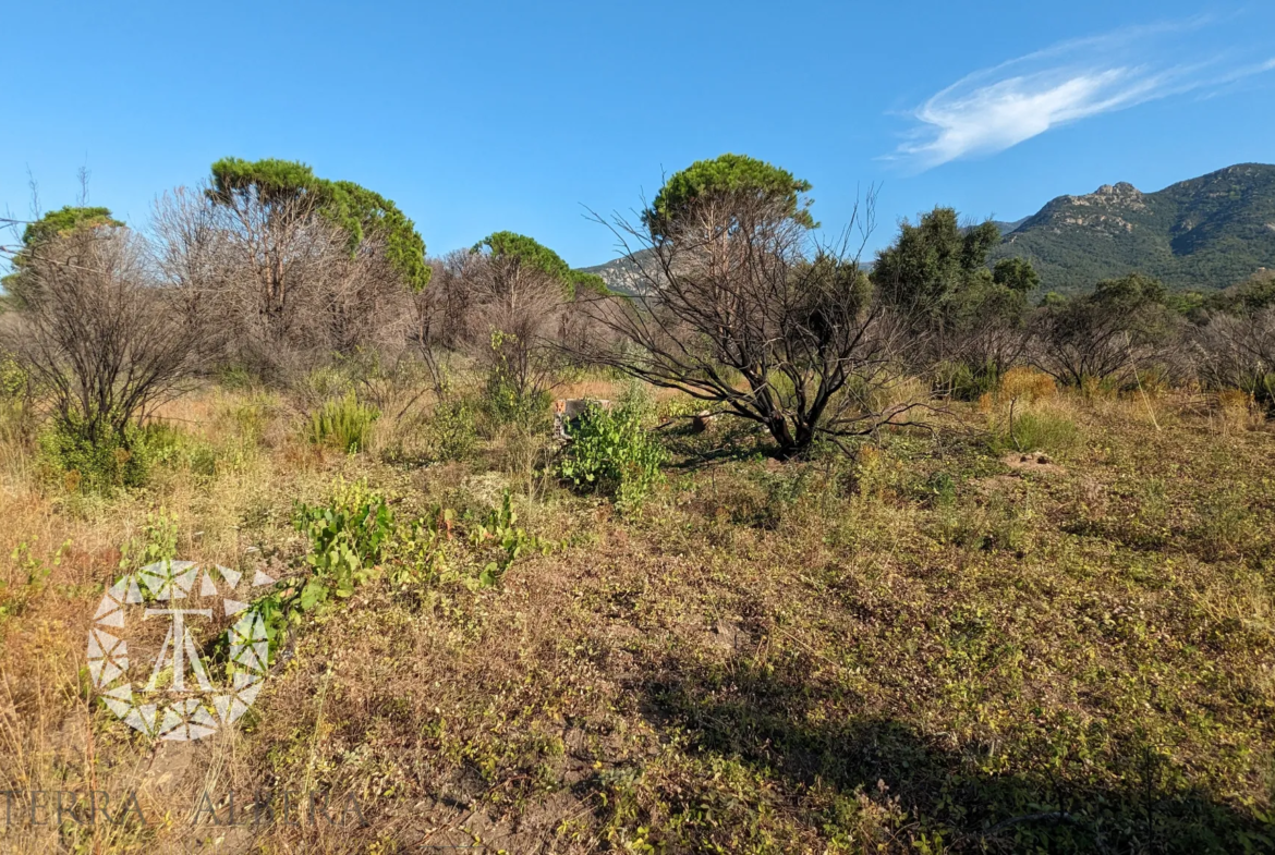 Vente de Terrains Agricoles à St André - 8 038 m² 