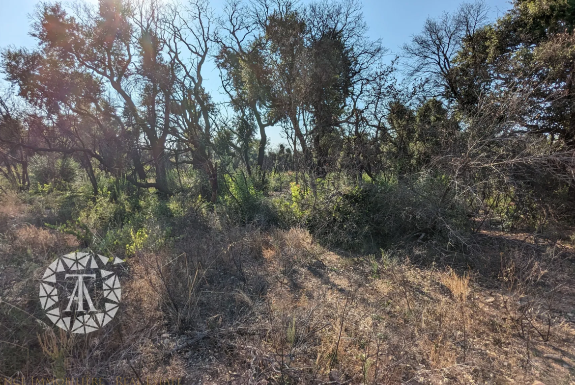 Vente de Terrains Agricoles à St André - 8 038 m² 