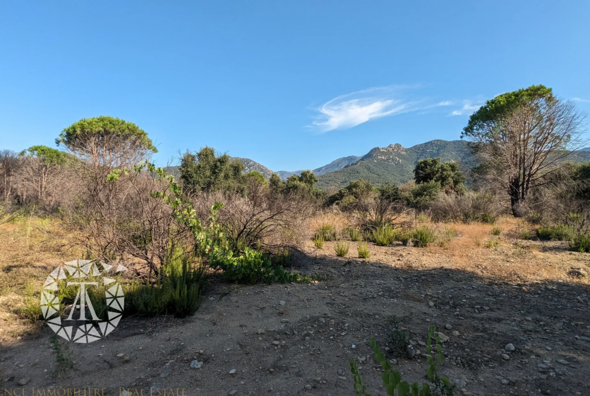 Vente de Terrains Agricoles à St André - 8 038 m² 