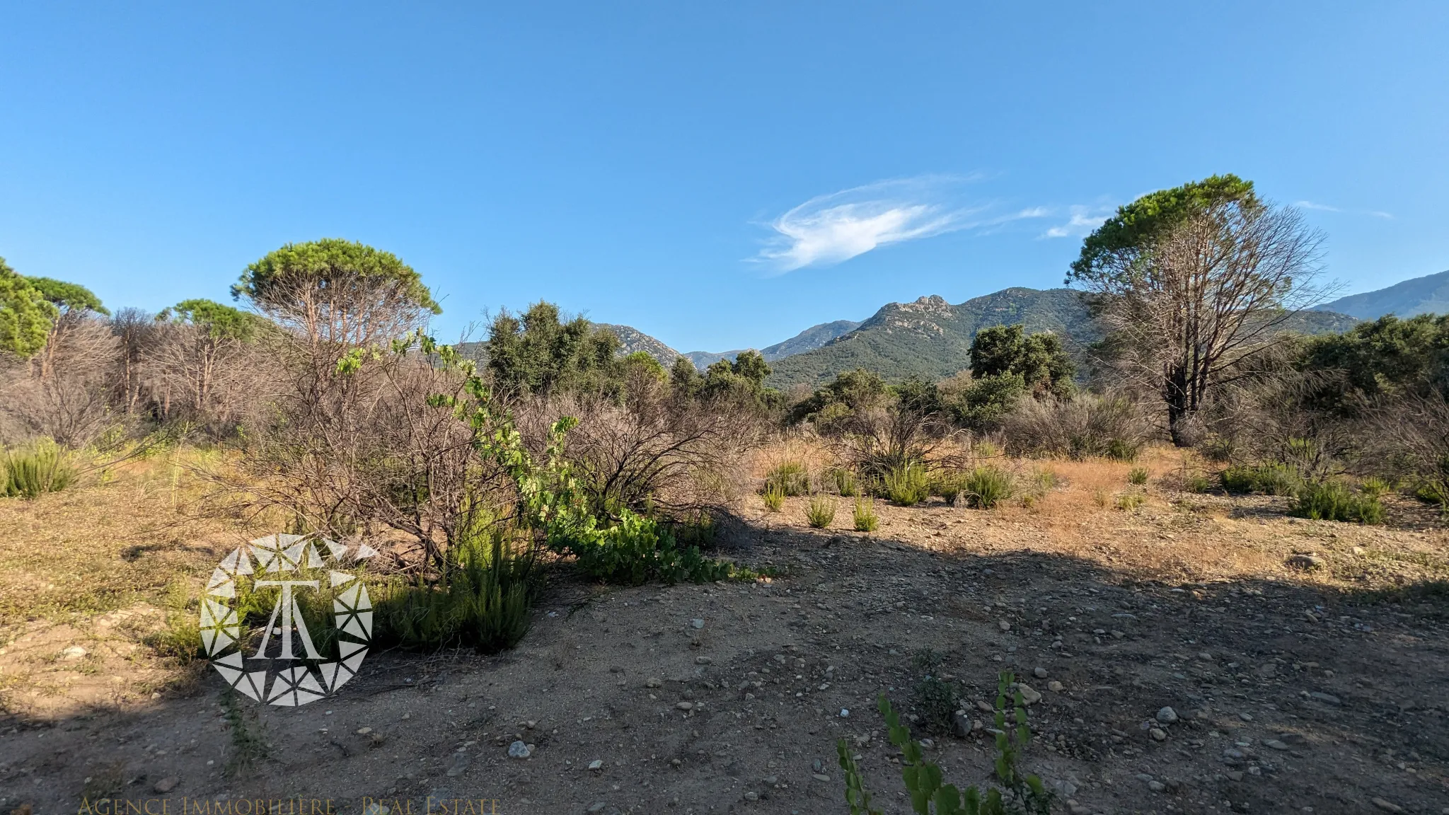 Vente de Terrains Agricoles à St André - 8 038 m² 