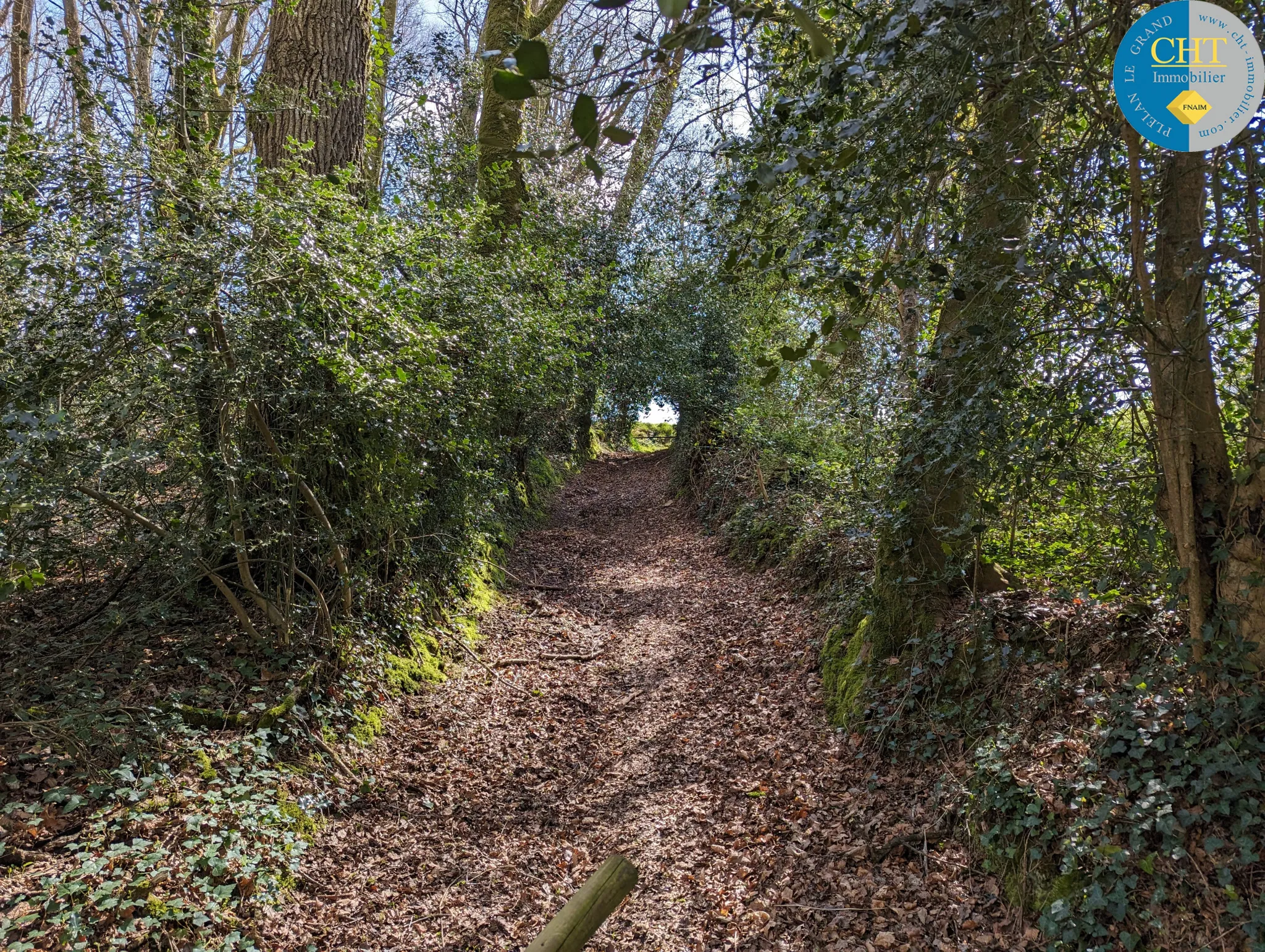 Terrain à vendre 35 100 € à Maxent avec CHT IMMOBILIER 