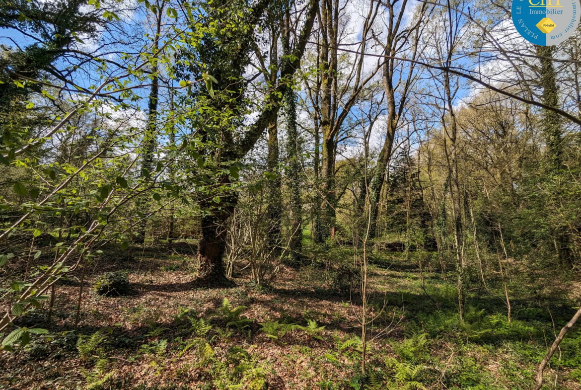 Terrain à vendre 35 100 € à Maxent avec CHT IMMOBILIER 