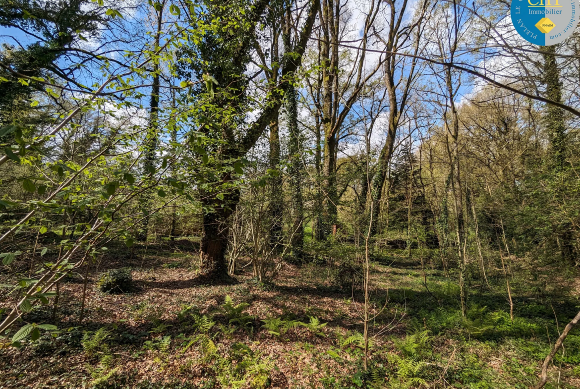 Terrain à vendre 35 100 € à Maxent avec CHT IMMOBILIER 