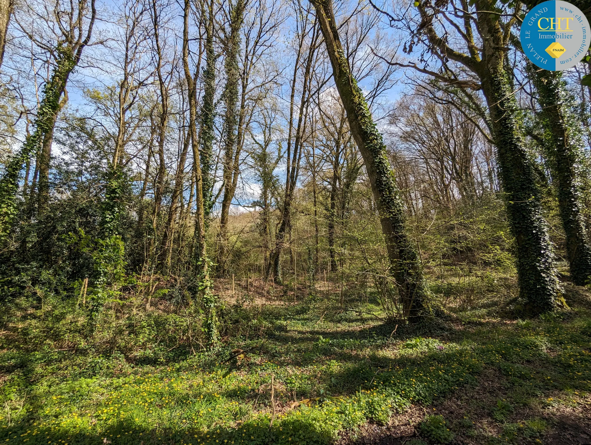 Terrain à vendre 35 100 € à Maxent avec CHT IMMOBILIER 