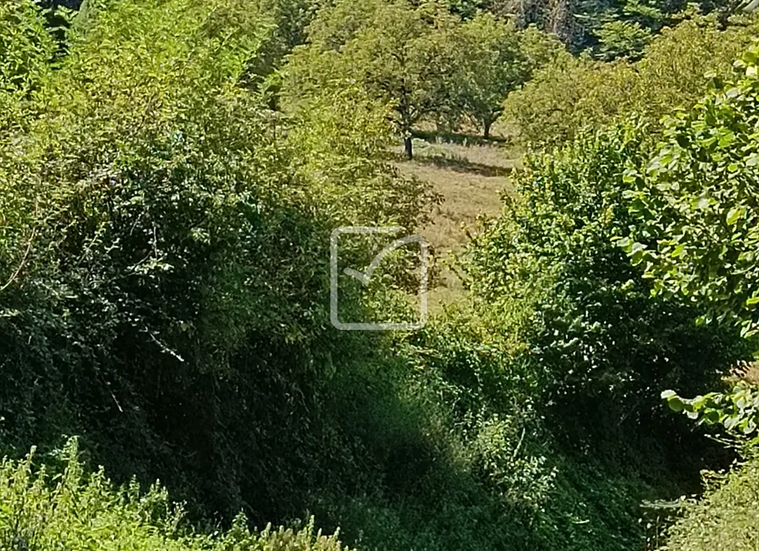 À vendre : ancienne ferme à restaurer à Cherveix-Cubas 