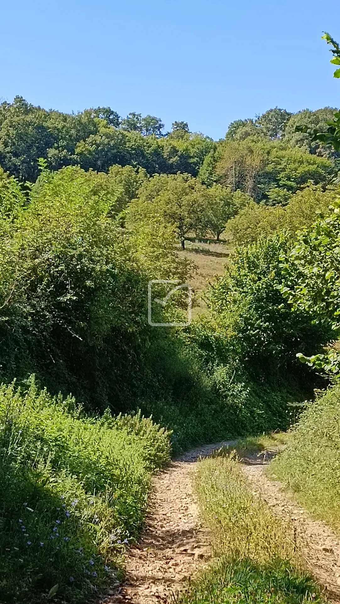 À vendre : ancienne ferme à restaurer à Cherveix-Cubas 