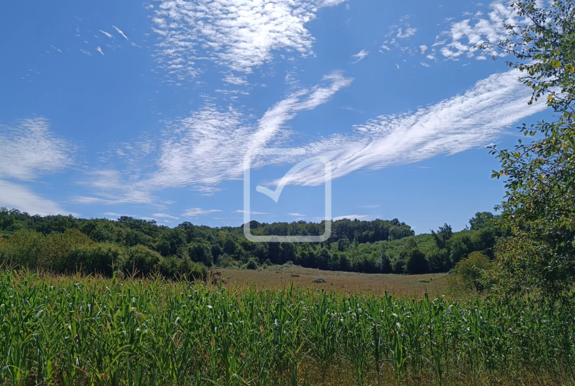 À vendre : ancienne ferme à restaurer à Cherveix-Cubas 