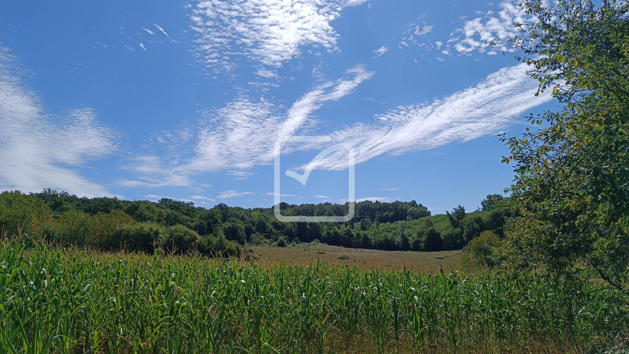 À vendre : ancienne ferme à restaurer à Cherveix-Cubas 