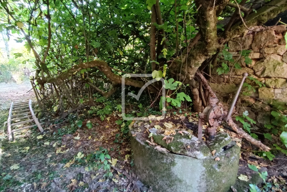 À vendre : ancienne ferme à restaurer à Cherveix-Cubas 