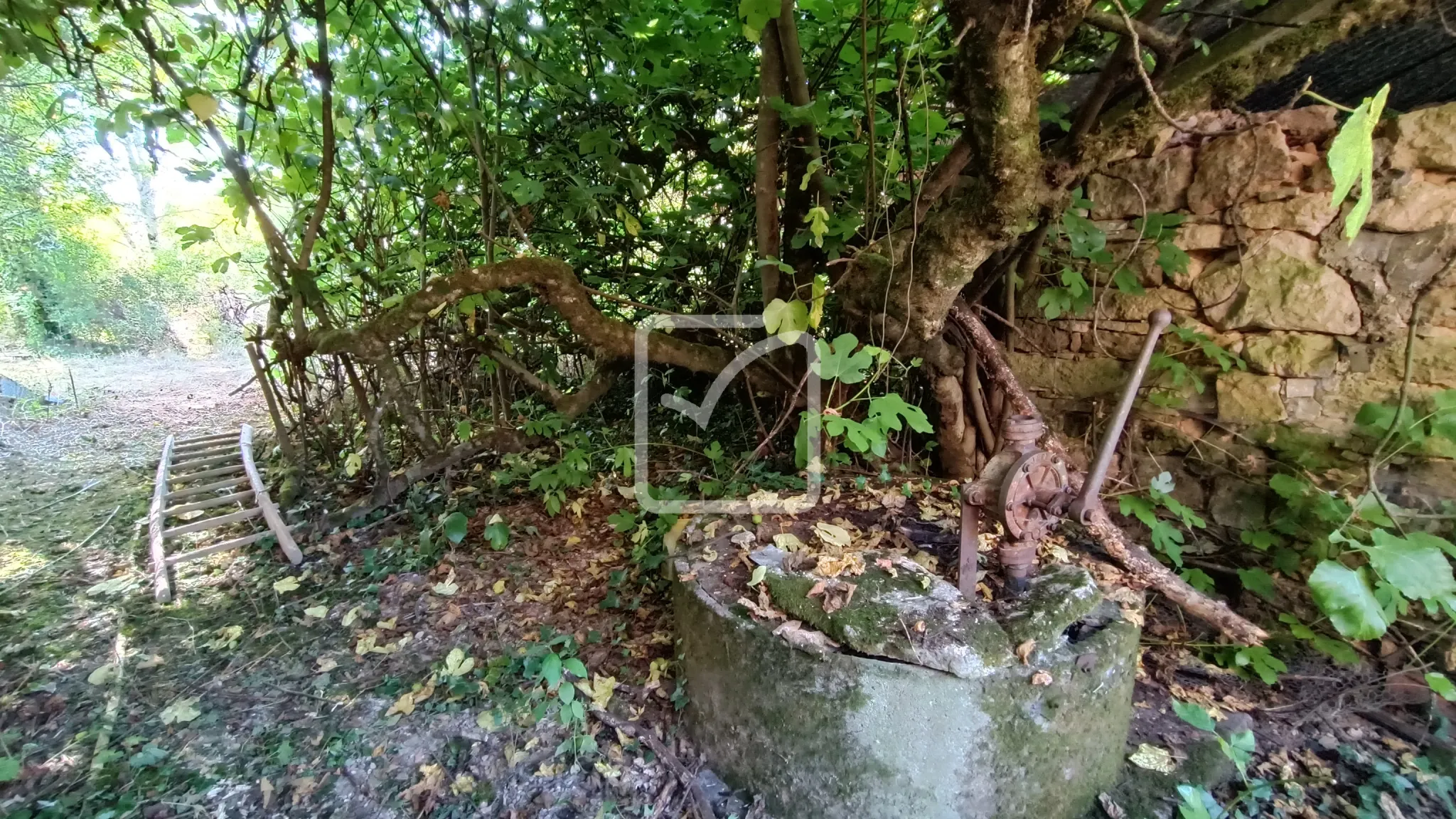 À vendre : ancienne ferme à restaurer à Cherveix-Cubas 