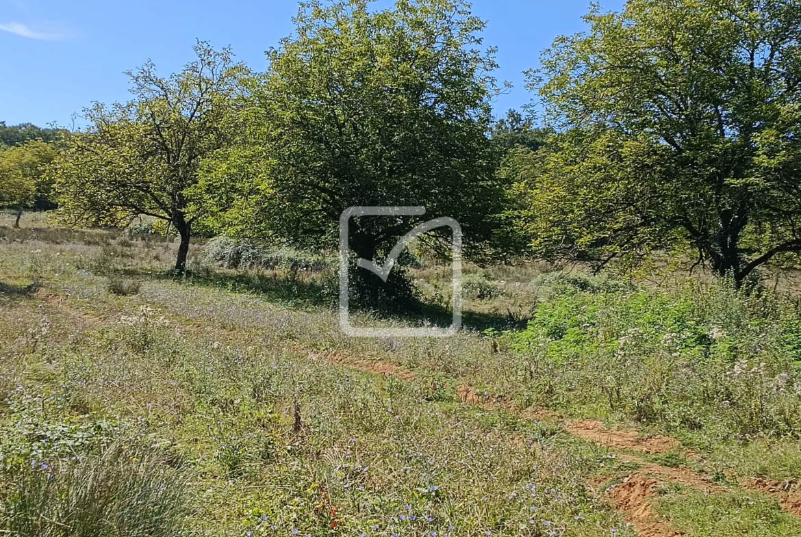 À vendre : ancienne ferme à restaurer à Cherveix-Cubas 