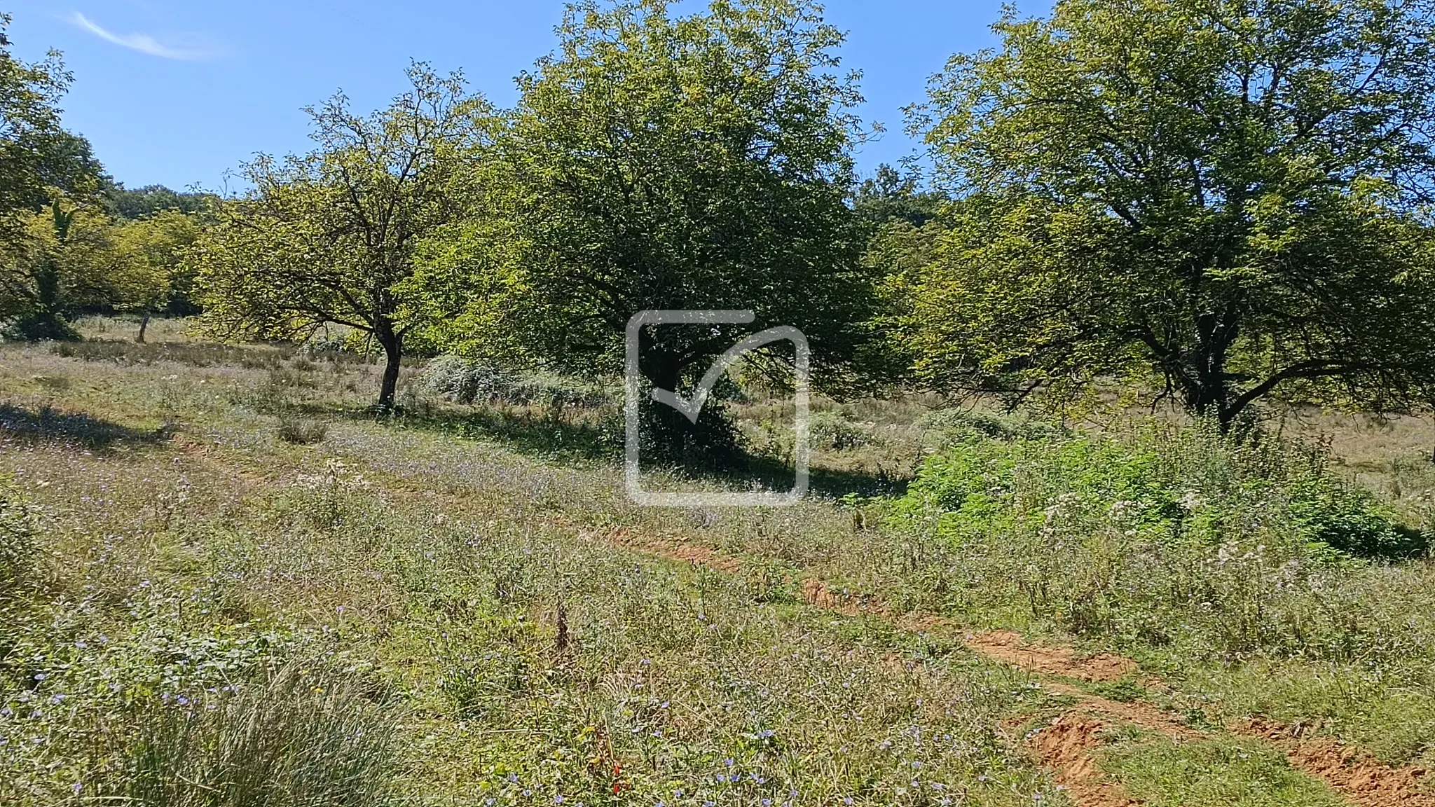 À vendre : ancienne ferme à restaurer à Cherveix-Cubas 