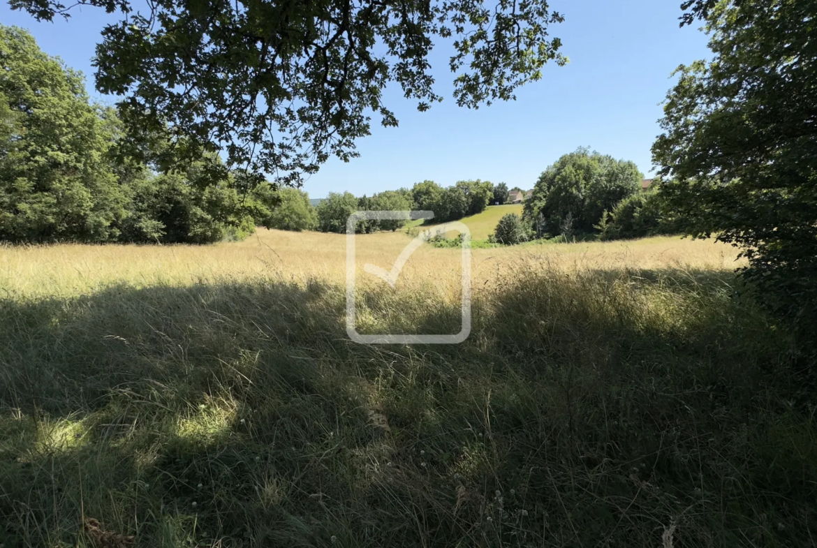 Opportunité Rare : Terrain à Construire à Florimont-Gaumier 