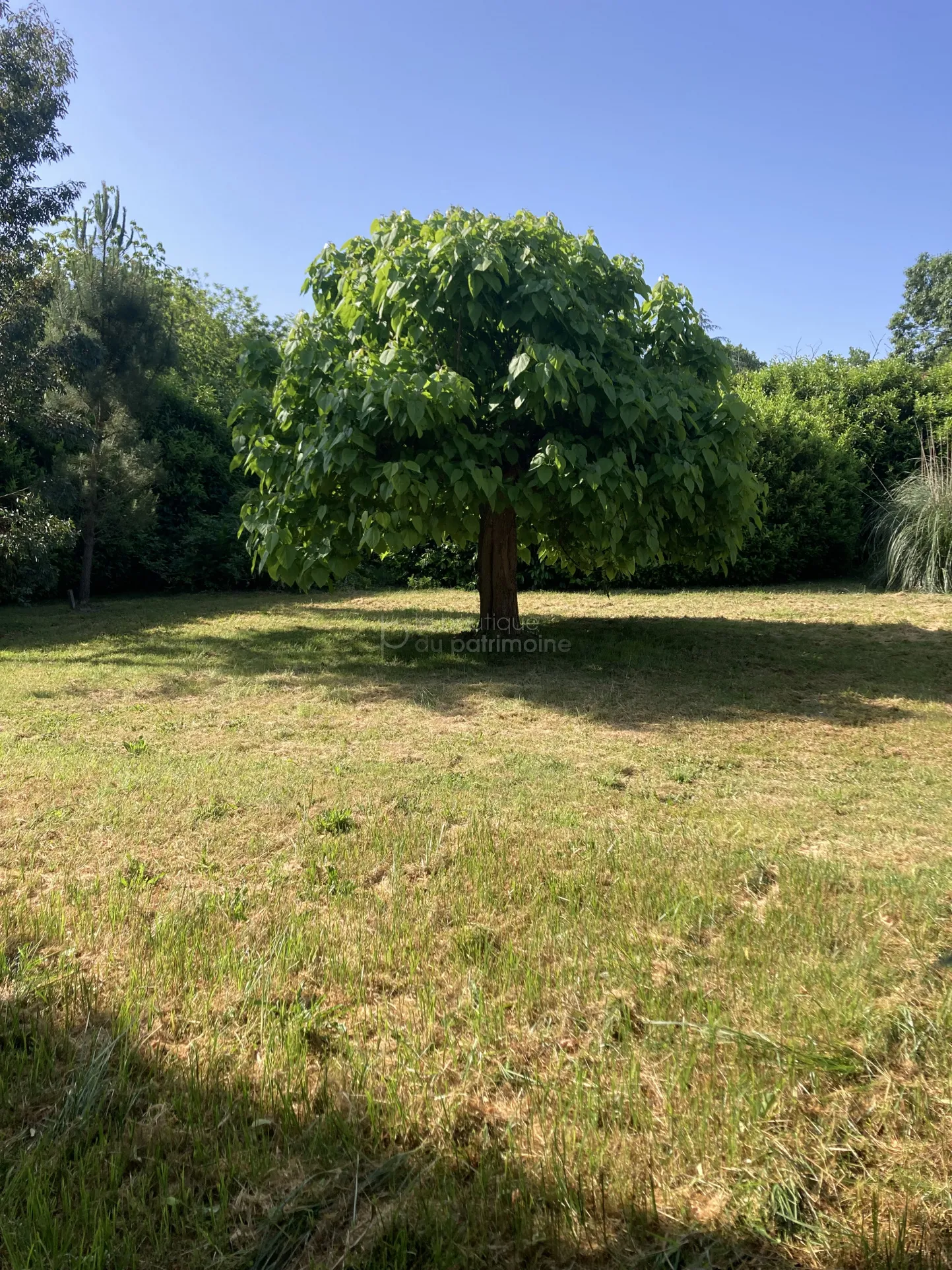 Belle maison de 155 m2 à Bazas avec grand terrain 