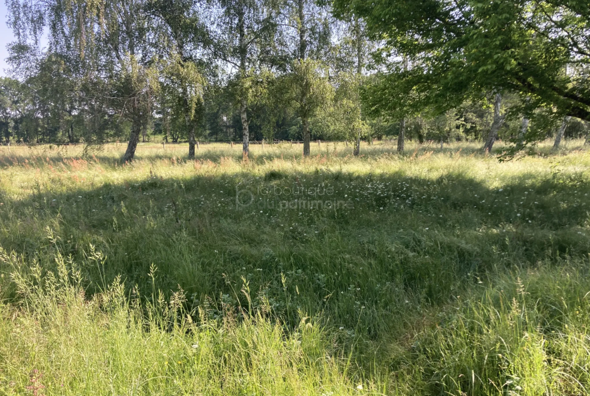 Belle maison de 155 m2 à Bazas avec grand terrain 