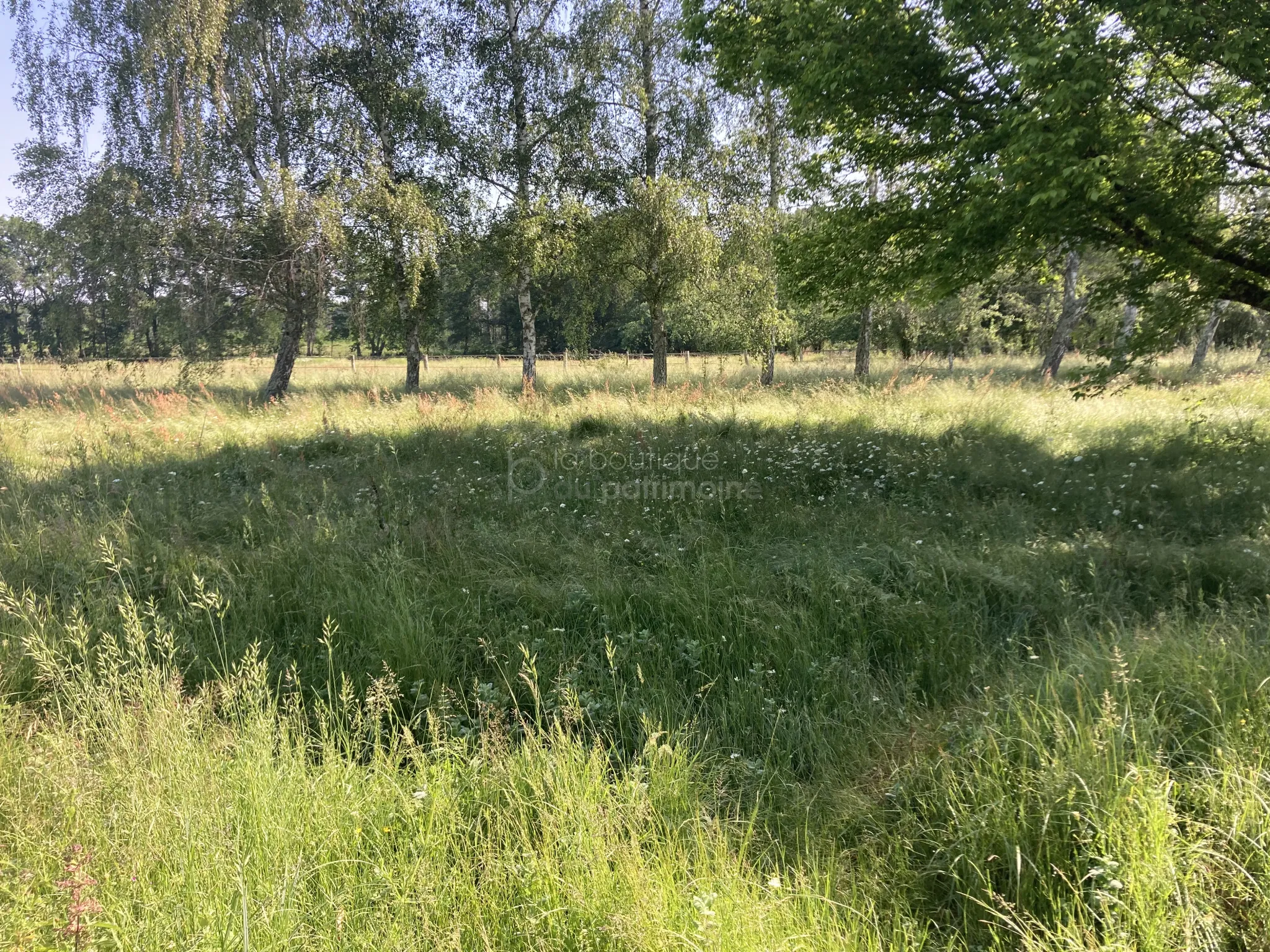 Belle maison de 155 m2 à Bazas avec grand terrain 