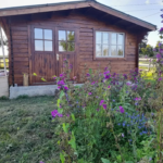 Chalet en bois de 17 m² sur terrain de 467 m² à Savignac-Ledrier