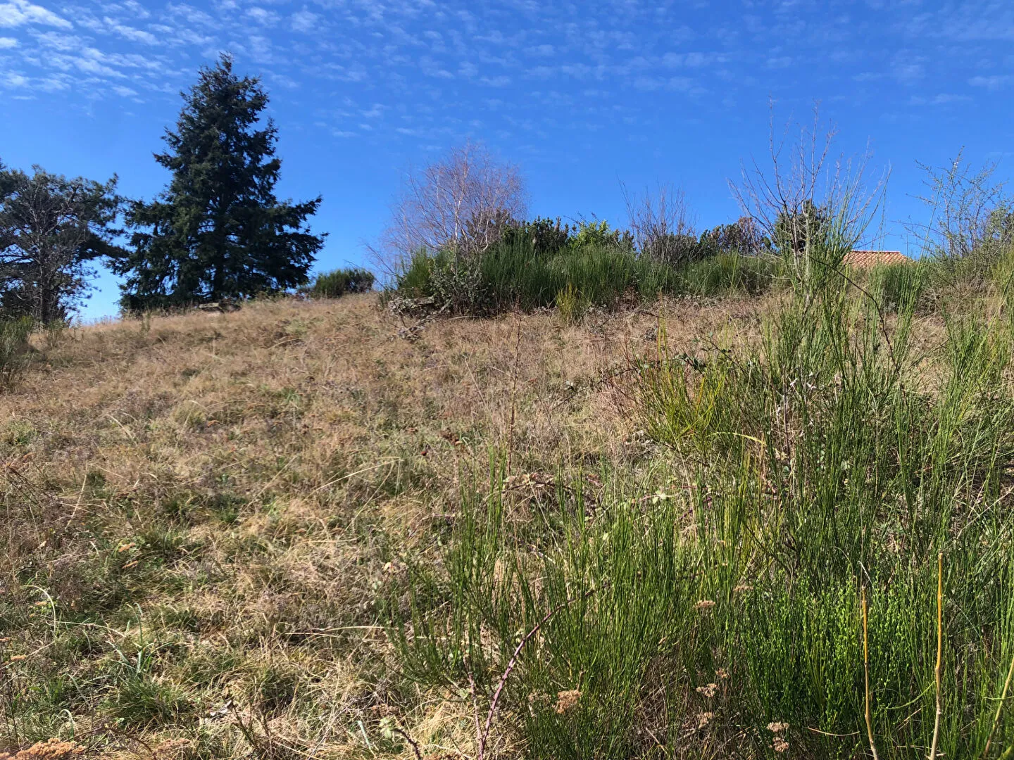 Terrain à vendre à Varennes - Chanonat avec vue panoramique 