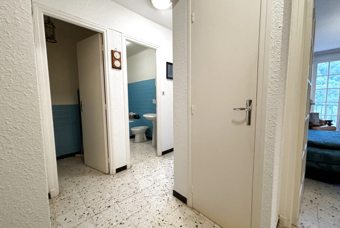 Agréable Appartement T2 avec Balcon et Parking à Prats de Mollo la Preste 