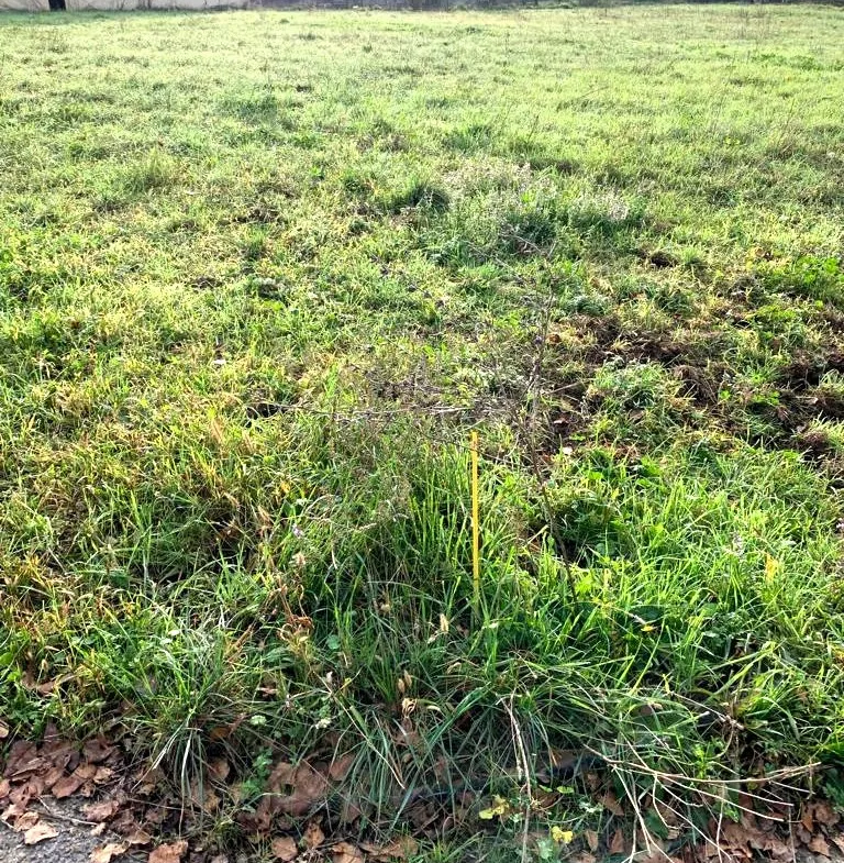 Terrain à bâtir de 500 m² à Les Mages proche Alès 