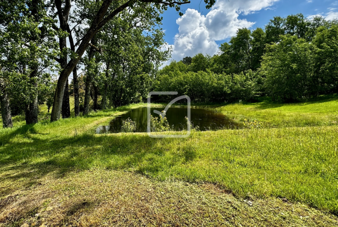 Ensemble immobilier de caractère à Sarlat - 600 m² sur 16 hectares 