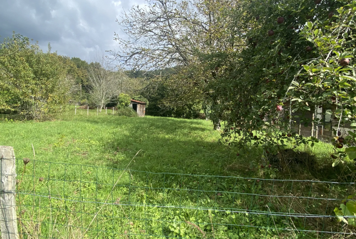 Terrain à bâtir de 638 m² à Argentat-sur-Dordogne 