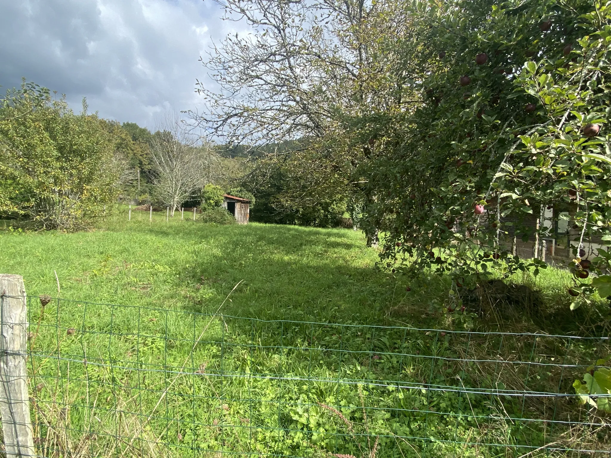 Terrain à bâtir de 638 m² à Argentat-sur-Dordogne 