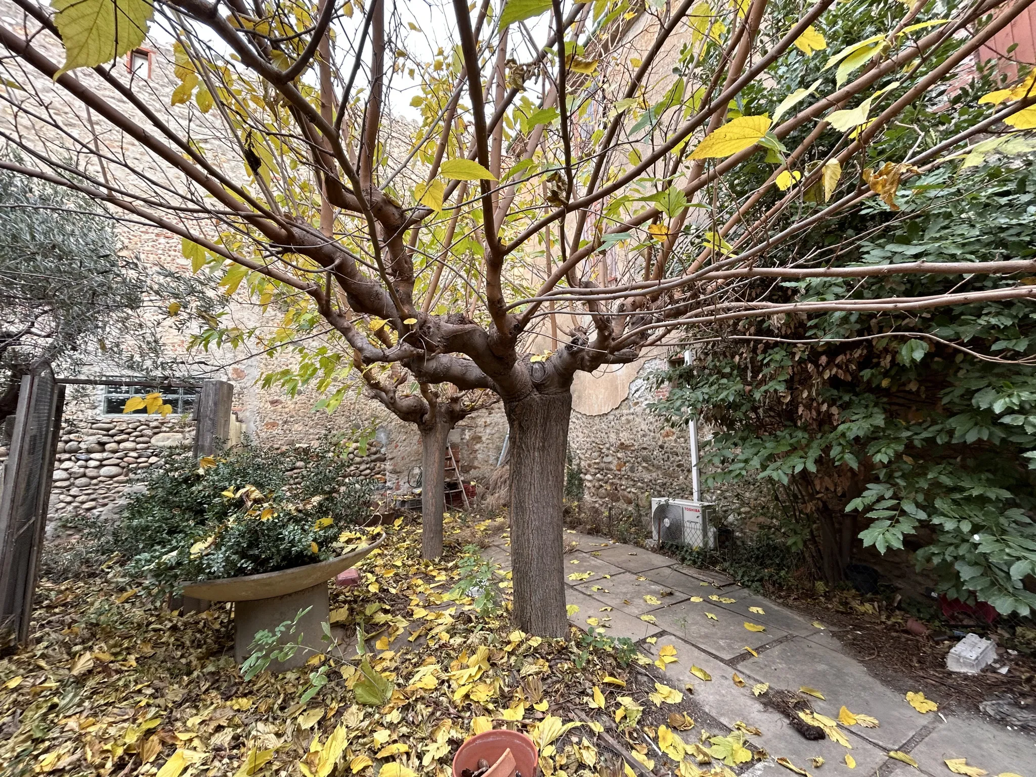 À Vendre - Maison Spacieuse à Saint-Feliu-D'Amont 