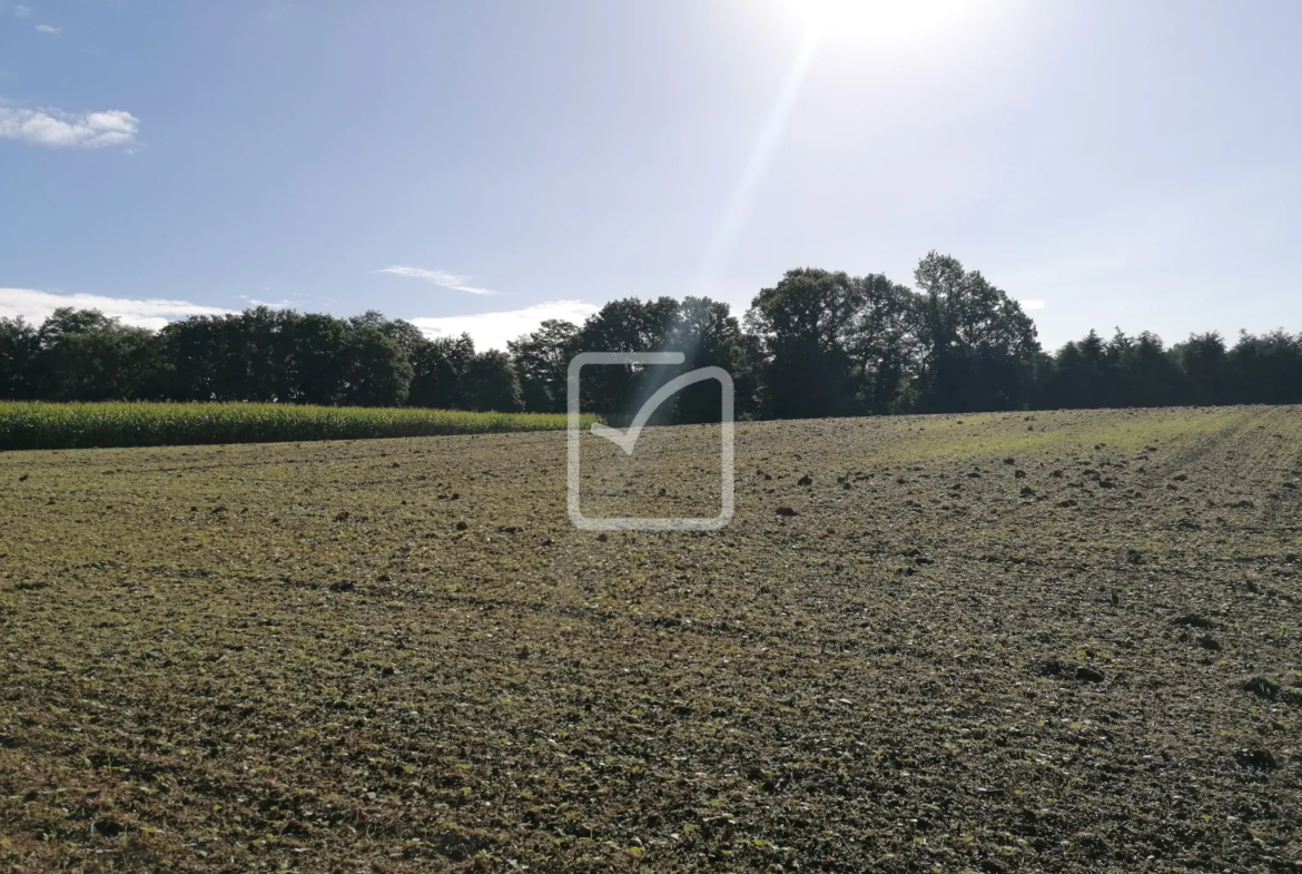 Terrain constructible de 9000 m² à Montertelot 