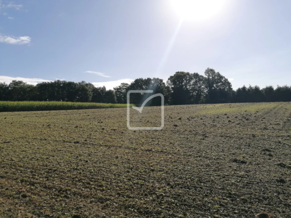 Terrain constructible de 9000 m² à Montertelot