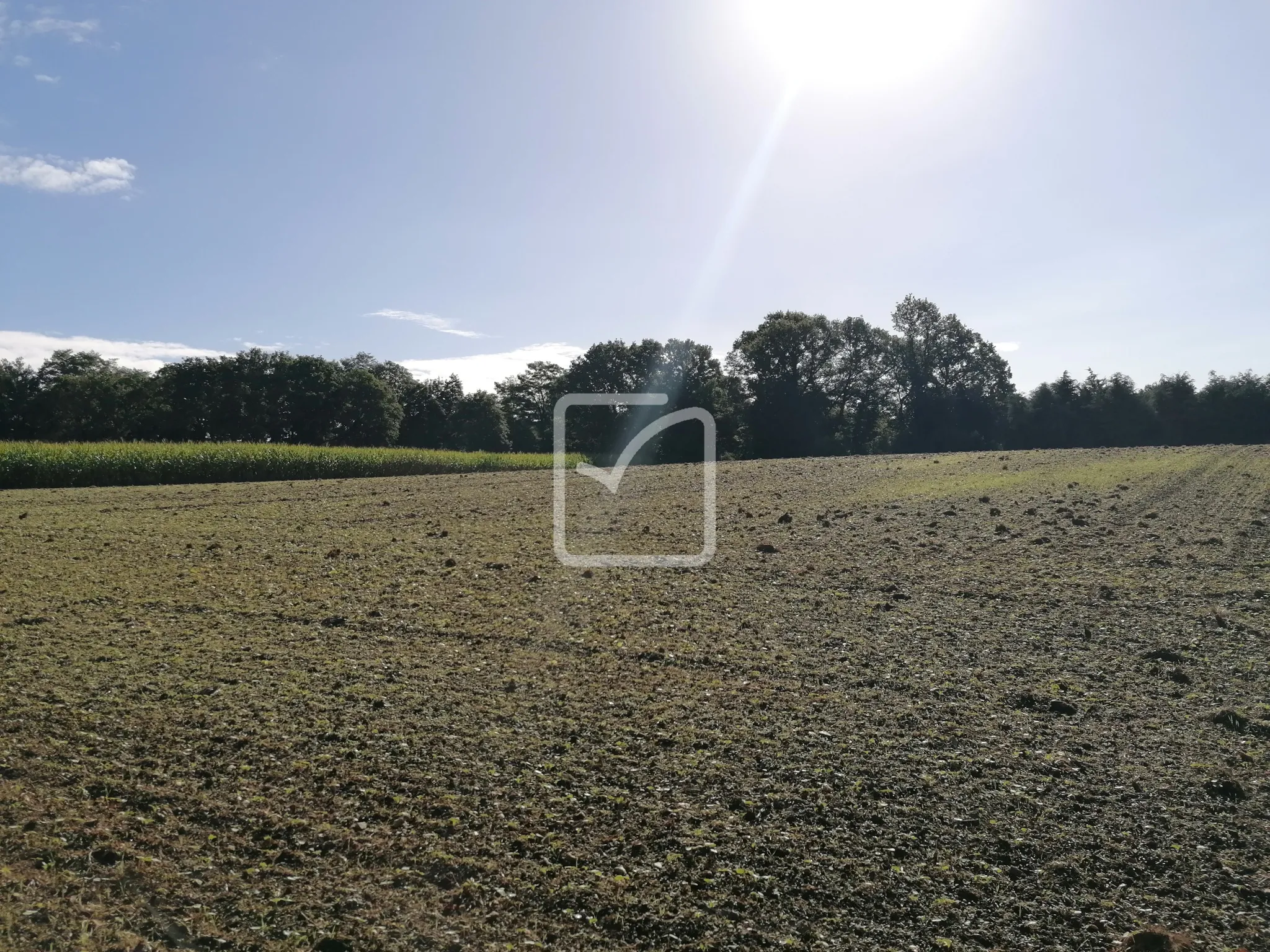 Terrain constructible de 9000 m² à Montertelot 