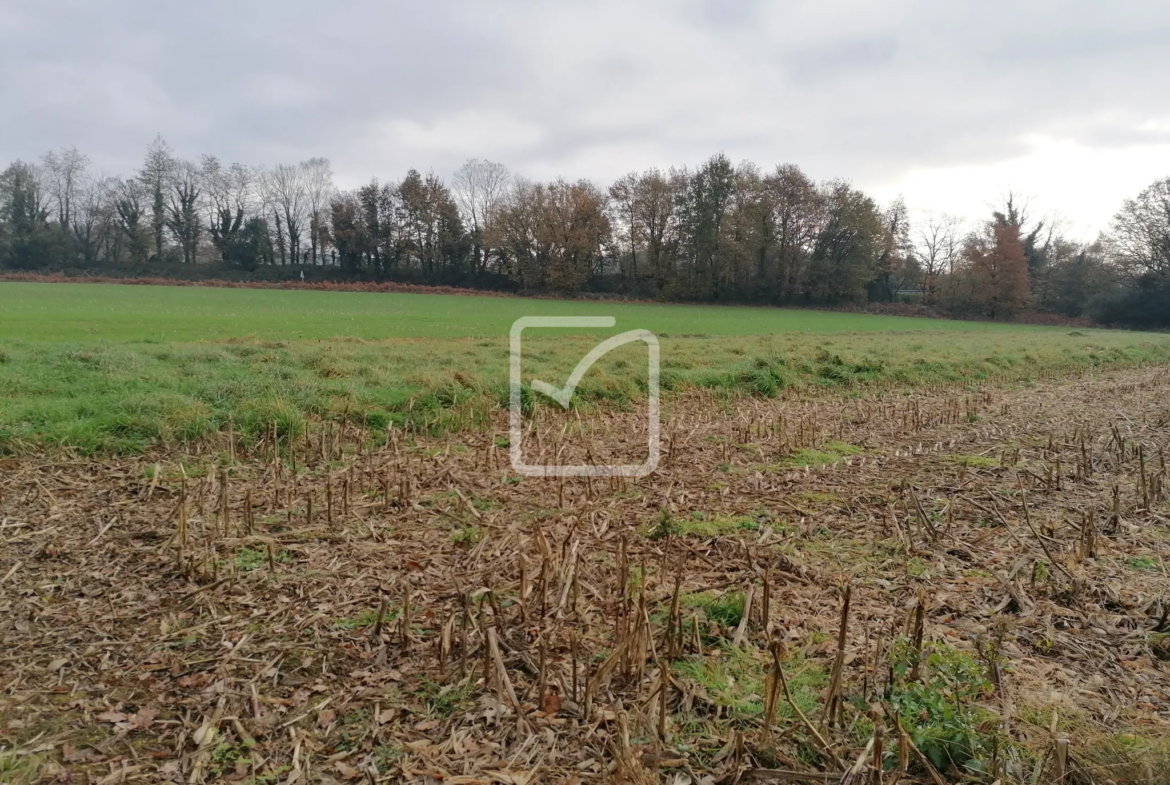 Terrain constructible de 9000 m² à Montertelot 