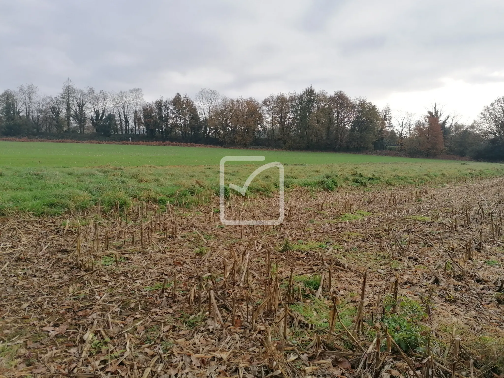 Terrain constructible de 9000 m² à Montertelot 