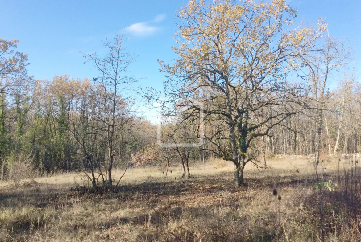 Terrain constructible de 1380 m² à Chartrier Ferrière 