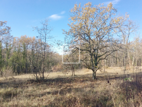 Terrain constructible de 1380 m² à Chartrier Ferrière