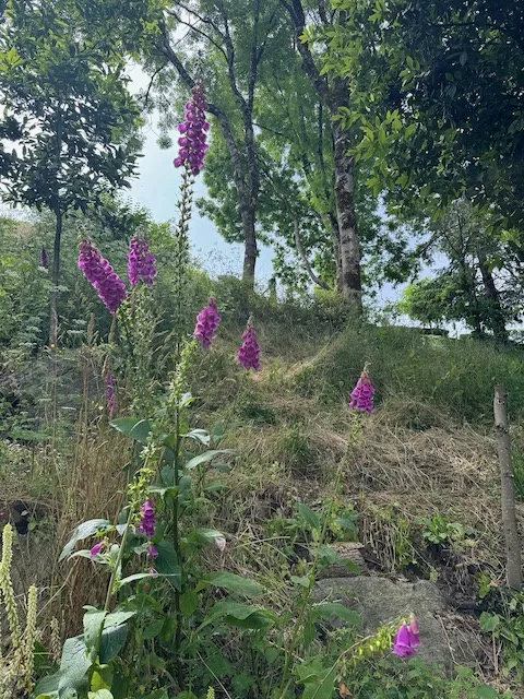 Terrain constructible avec vue sur la rivière à Chateau-Guibert 