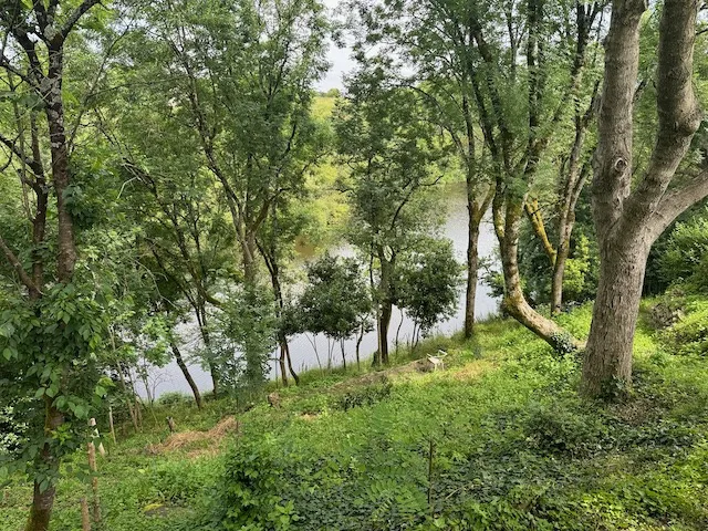 Terrain constructible avec vue sur la rivière à Chateau-Guibert 