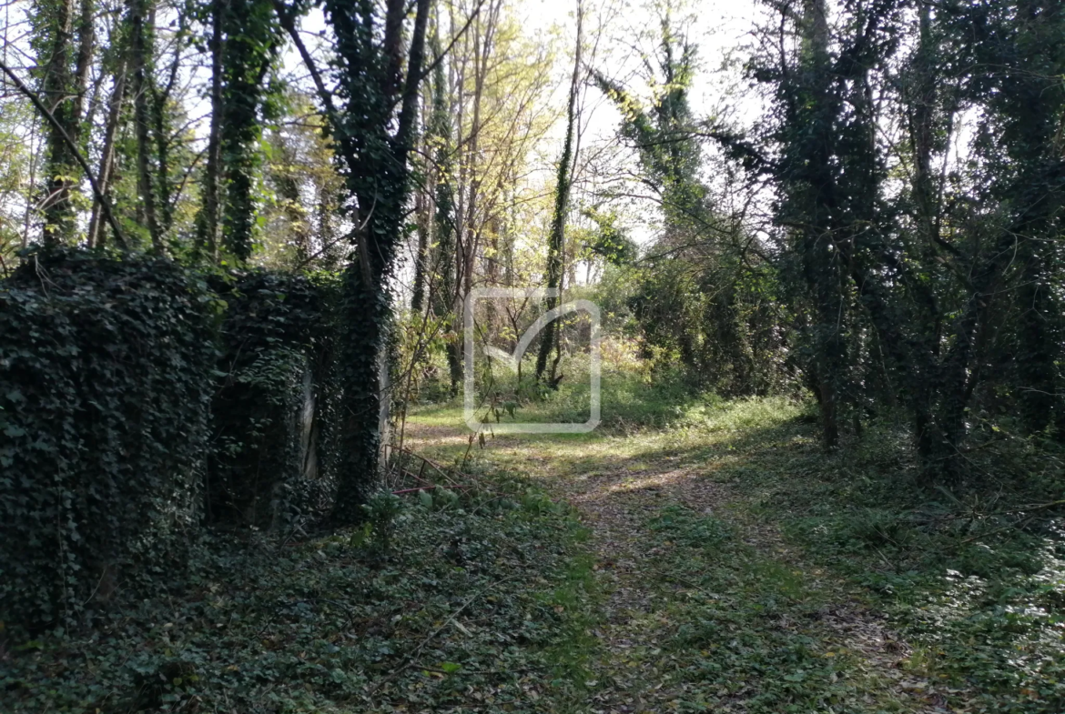 Terrain constructible de 6 590 m² à Sarlat-la-Canéda 