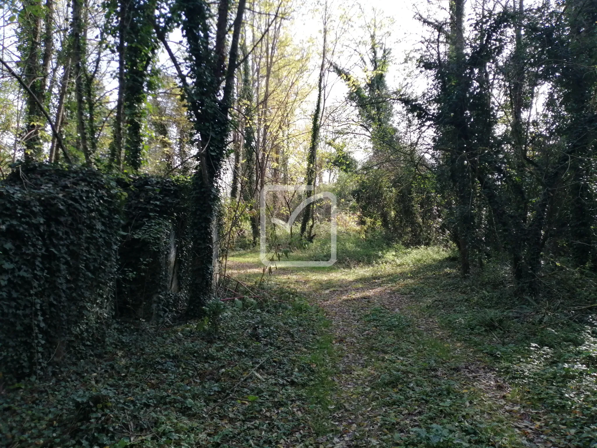 Terrain constructible de 6 590 m² à Sarlat-la-Canéda 