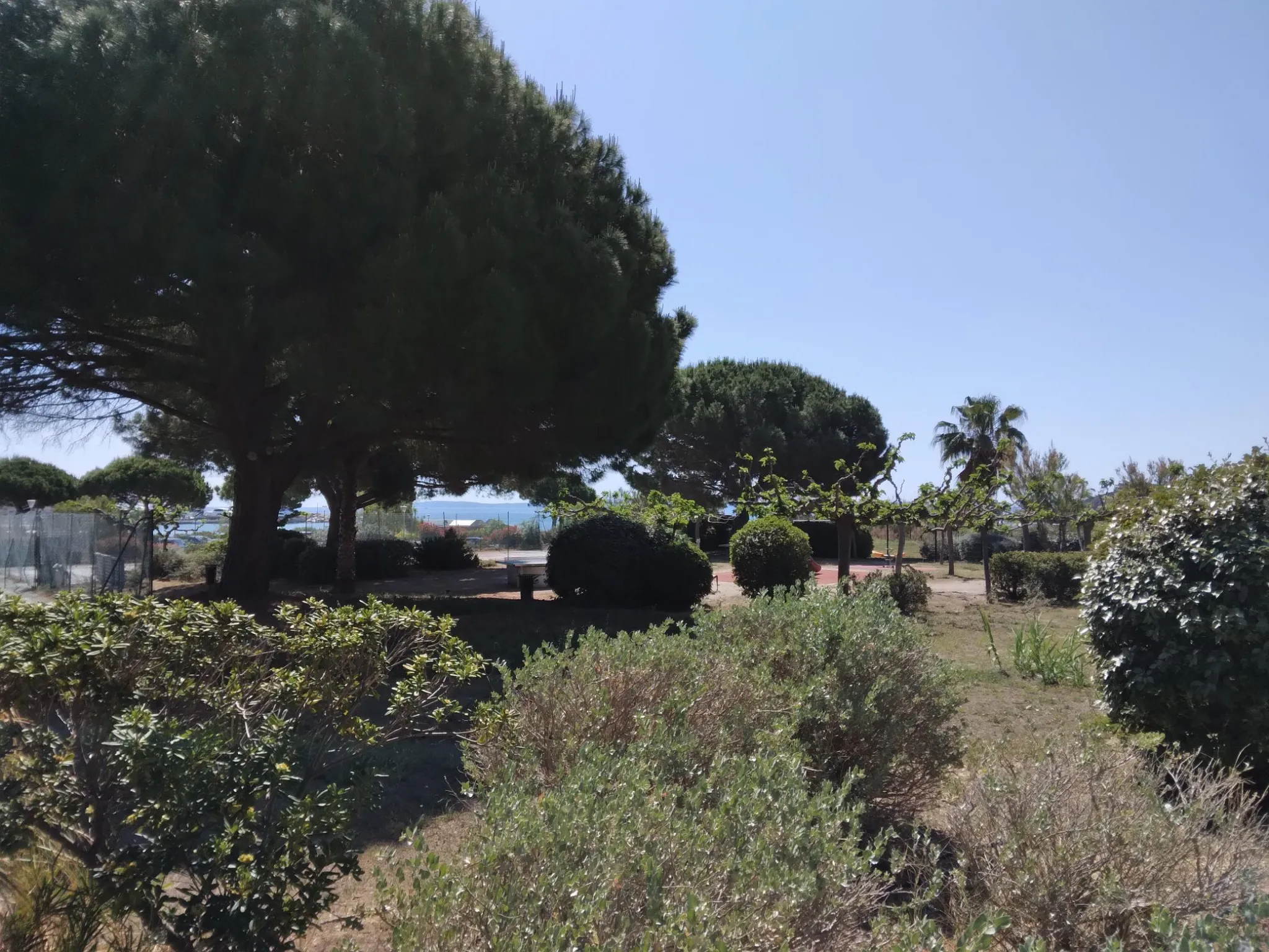 Studio avec terrasse proche de la mer à Bormes les Mimosas 