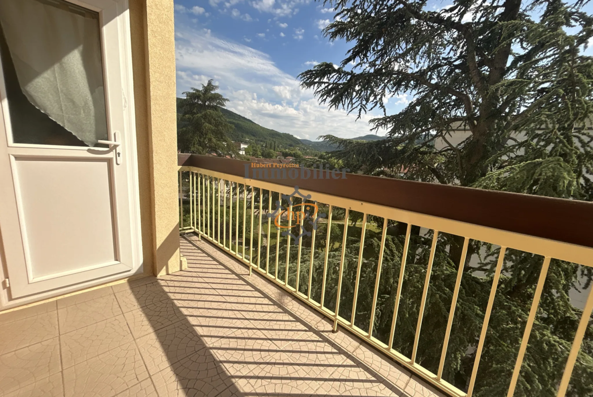 Vente appartement T4 avec terrasse et cave à St Affrique 