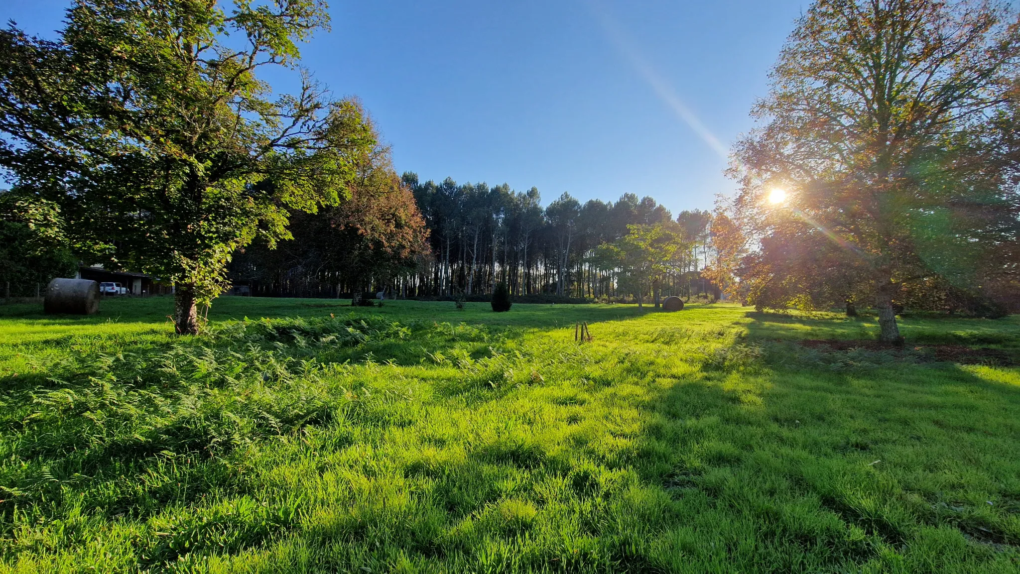 Terrain à bâtir de 1600 m² à Uzeste à vendre 